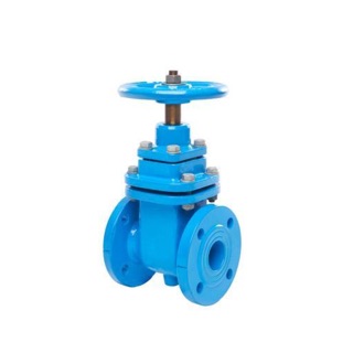 Pratt Gate Valves