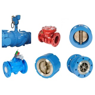 Pratt Check Valves